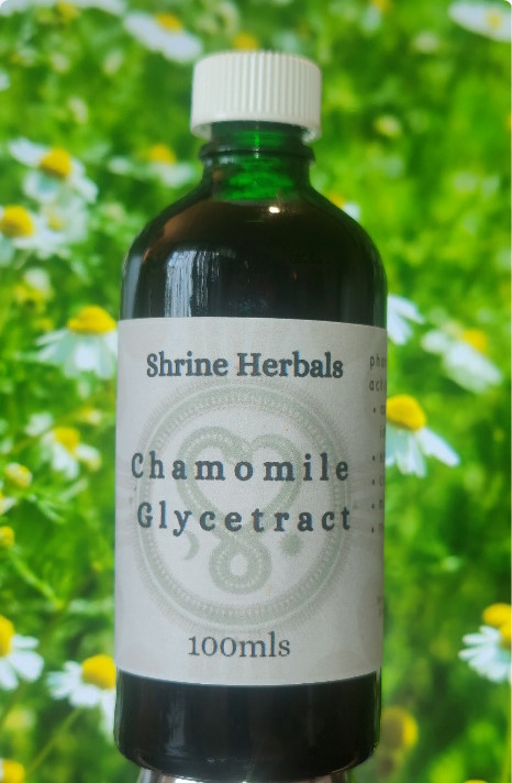 Shrine Herbals Chamomile Glycetract. SKU-1004.