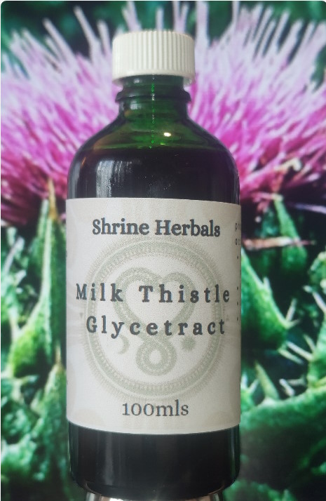 Shrine Herbals Milk Thistle Glycetract. SKU-1006.