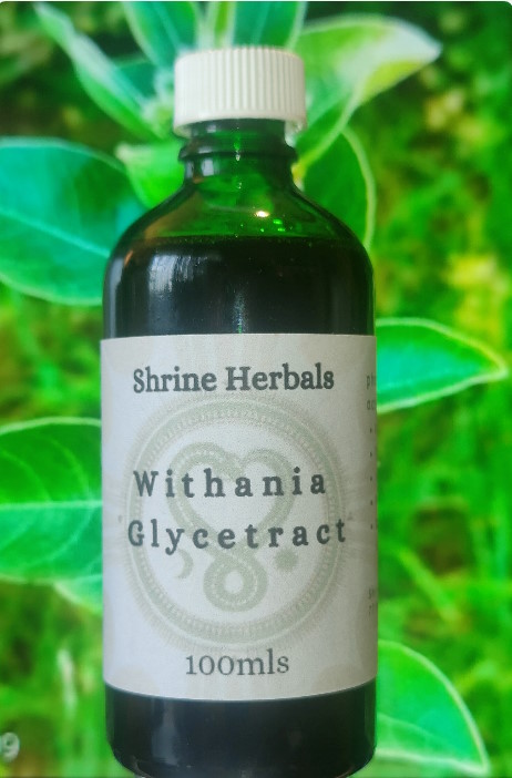 Shrine Herbals Withania Glycetract. SKU-1008.