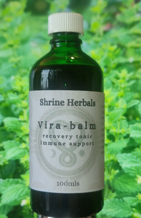 Shrine Herbals Vira-balm. SKU-1012.